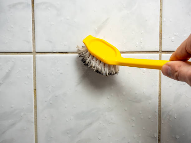 Best Office Mold Removal Services  in Rensselaer, IN