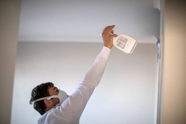 Best Mold Removal Near Me  in Rensselaer, IN