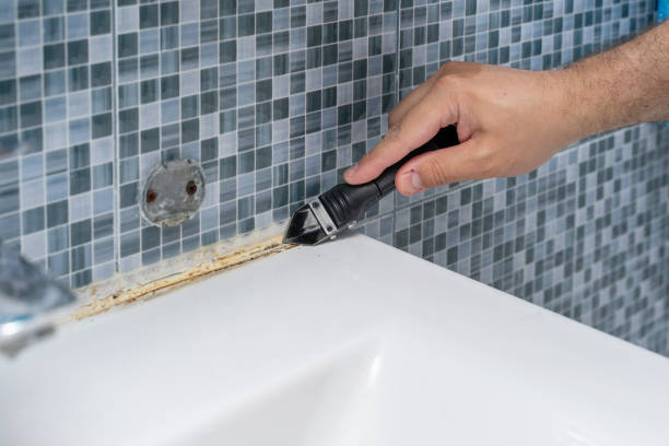 Best Black Mold Removal  in Rensselaer, IN