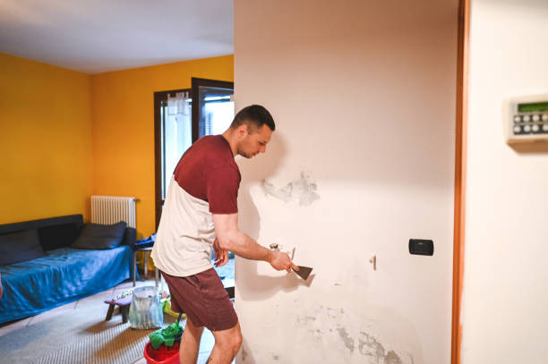 Best Home Mold Removal  in Rensselaer, IN